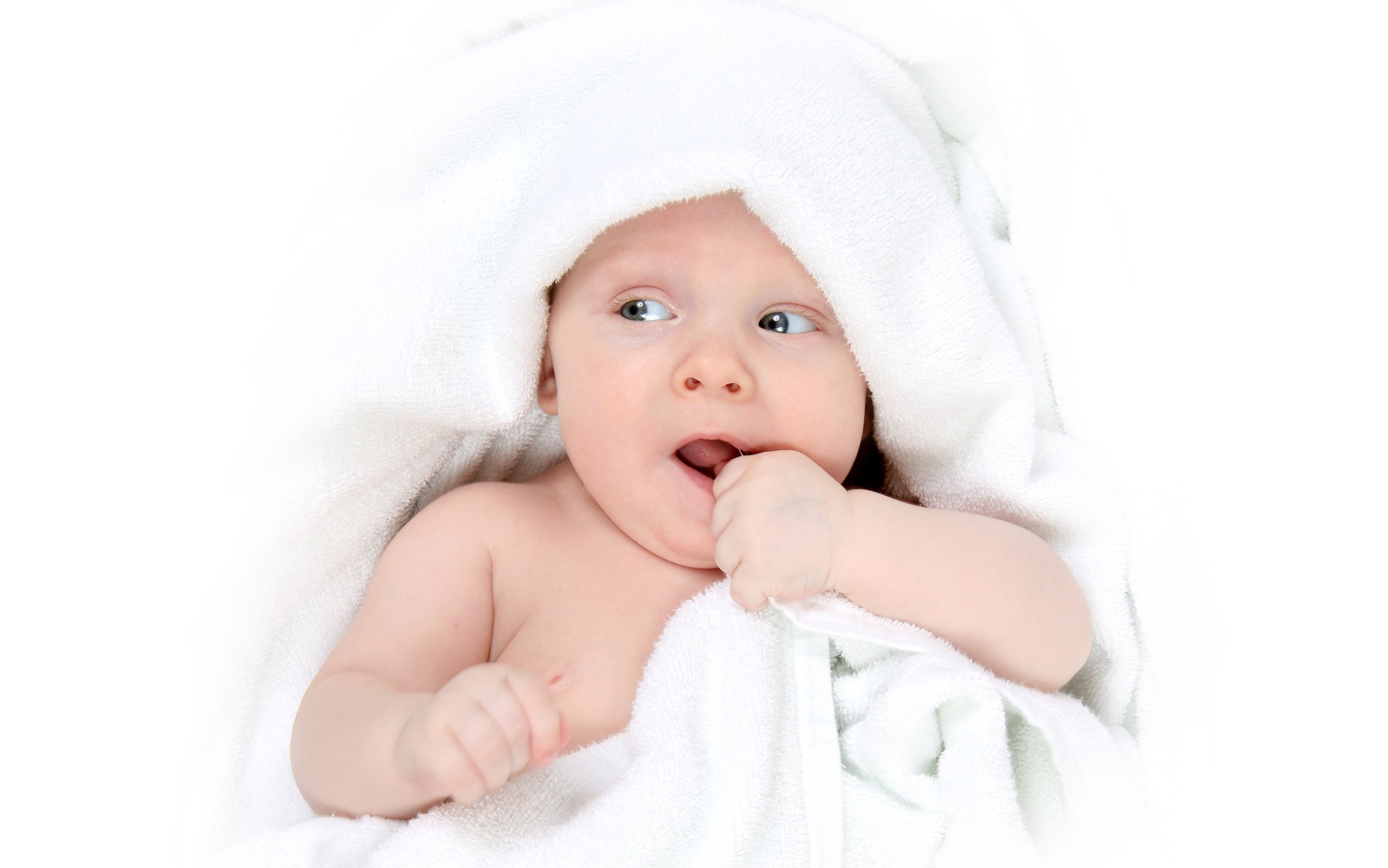 咸阳捐卵机构试管婴儿冷冻胚胎成功率